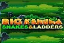 Big Kahuna Snakes and Ladders Slot Review